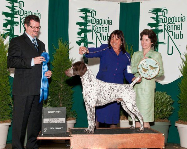 BIS, BISS GCh Shortales N Cahoots W Irondale, JH 